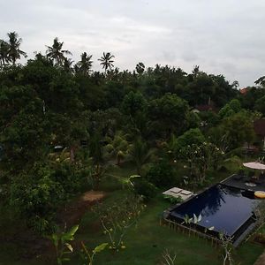 King Room Pool View